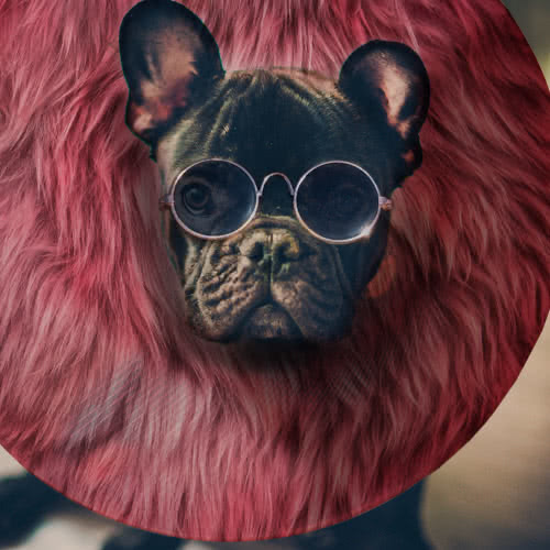 Fash-un like you've never seen