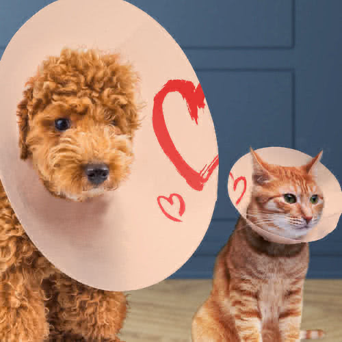 The most unlikely BFF