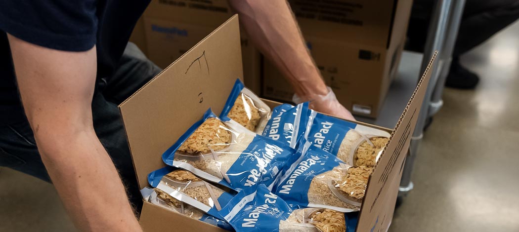 Social Responsibility Trees Water People Planting Trees