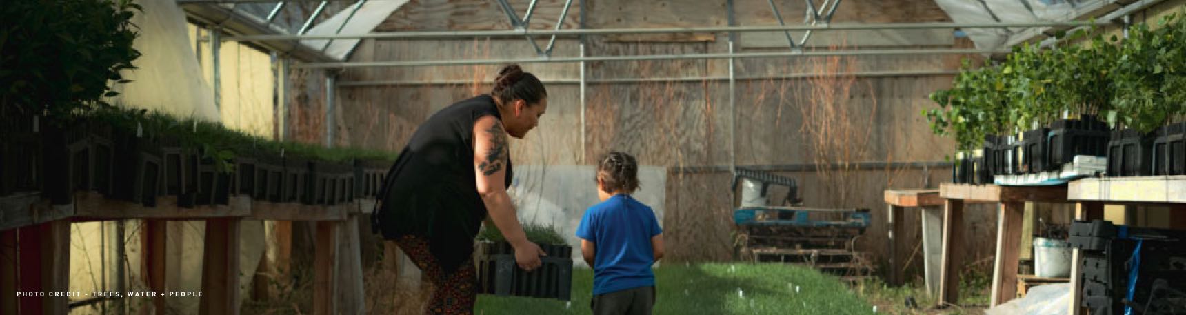 Trees, Water & People
